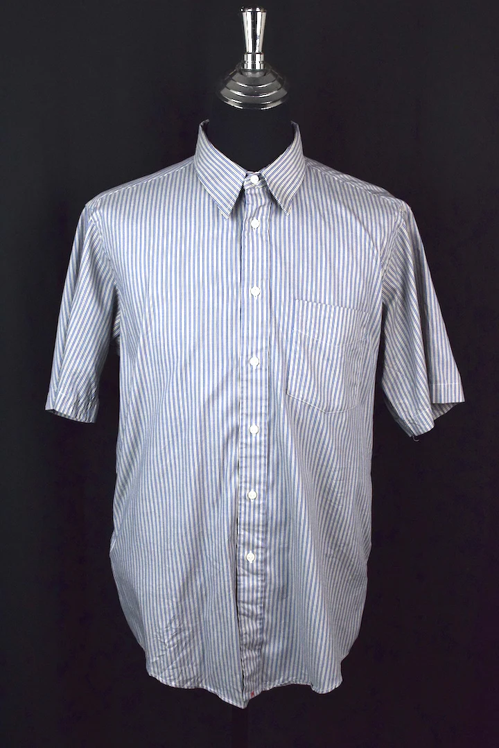 Blue Striped Shirt