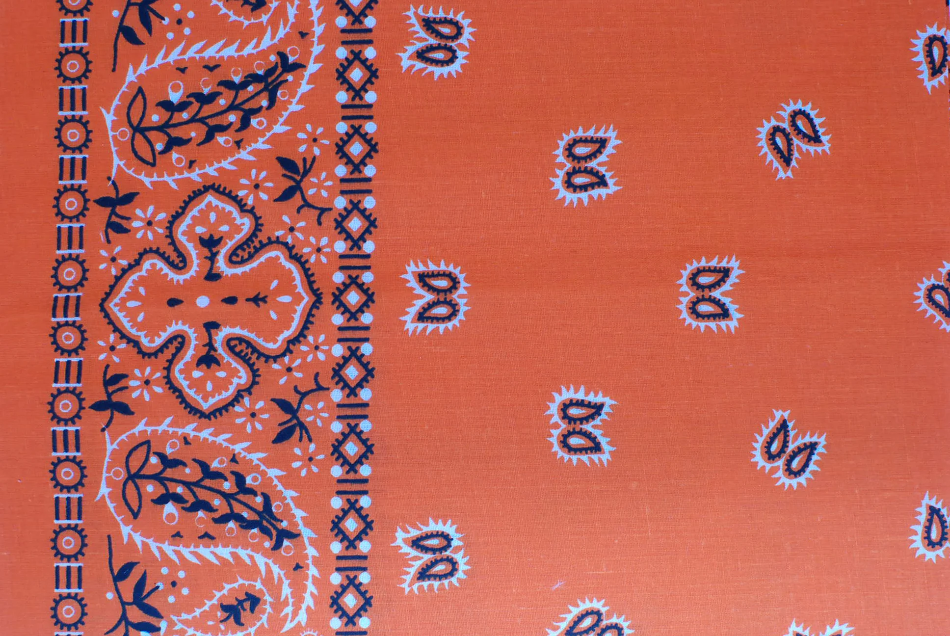 Paisley Border Bandanas - Image 3