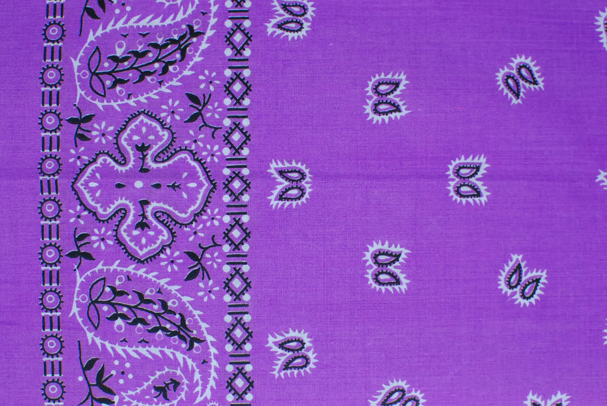 Paisley Border Bandanas - Image 4