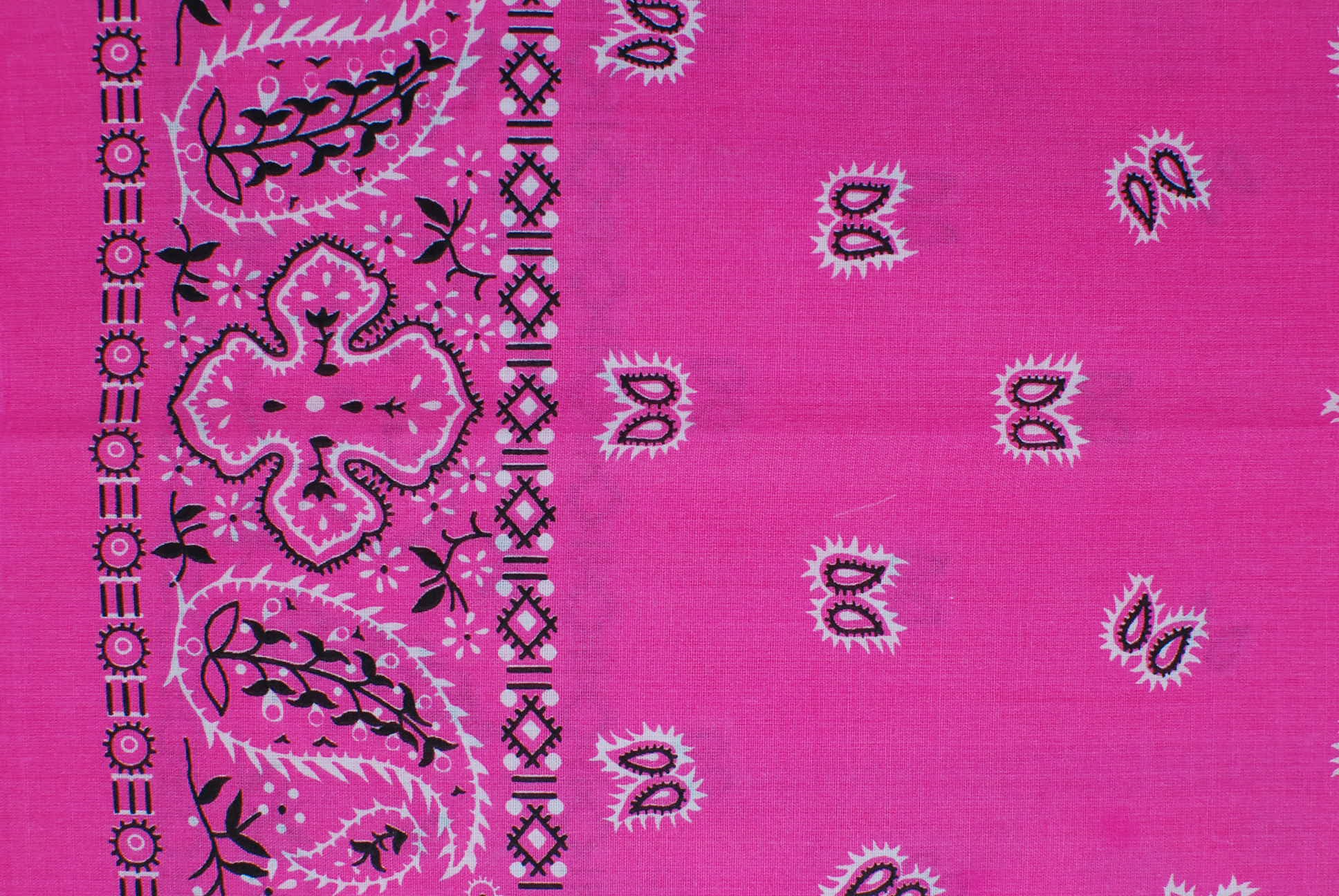 Paisley Border Bandanas - Image 5