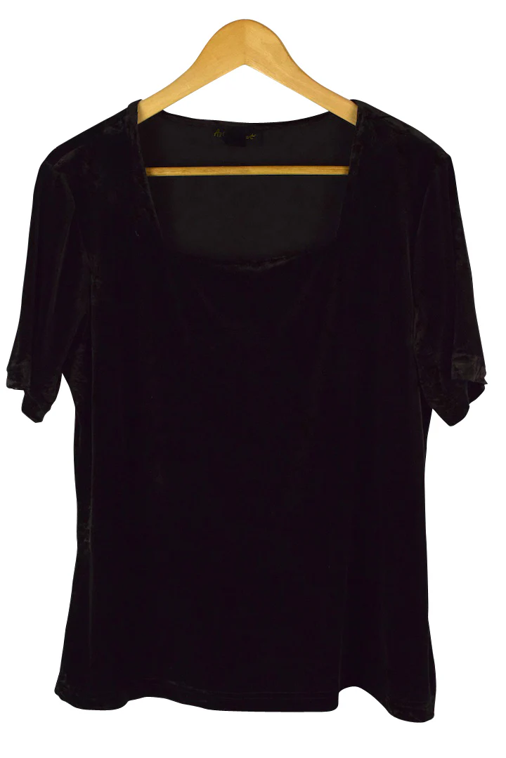 Brown Ashley Stewart Brand Velvet Top