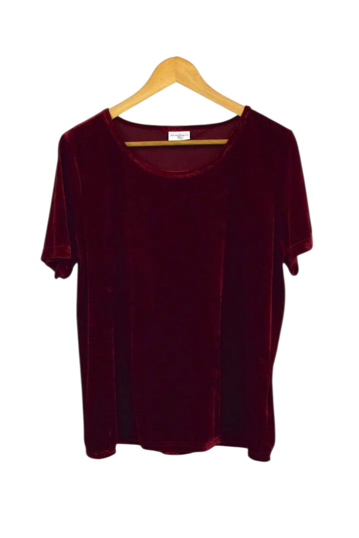Red Velvet Top
