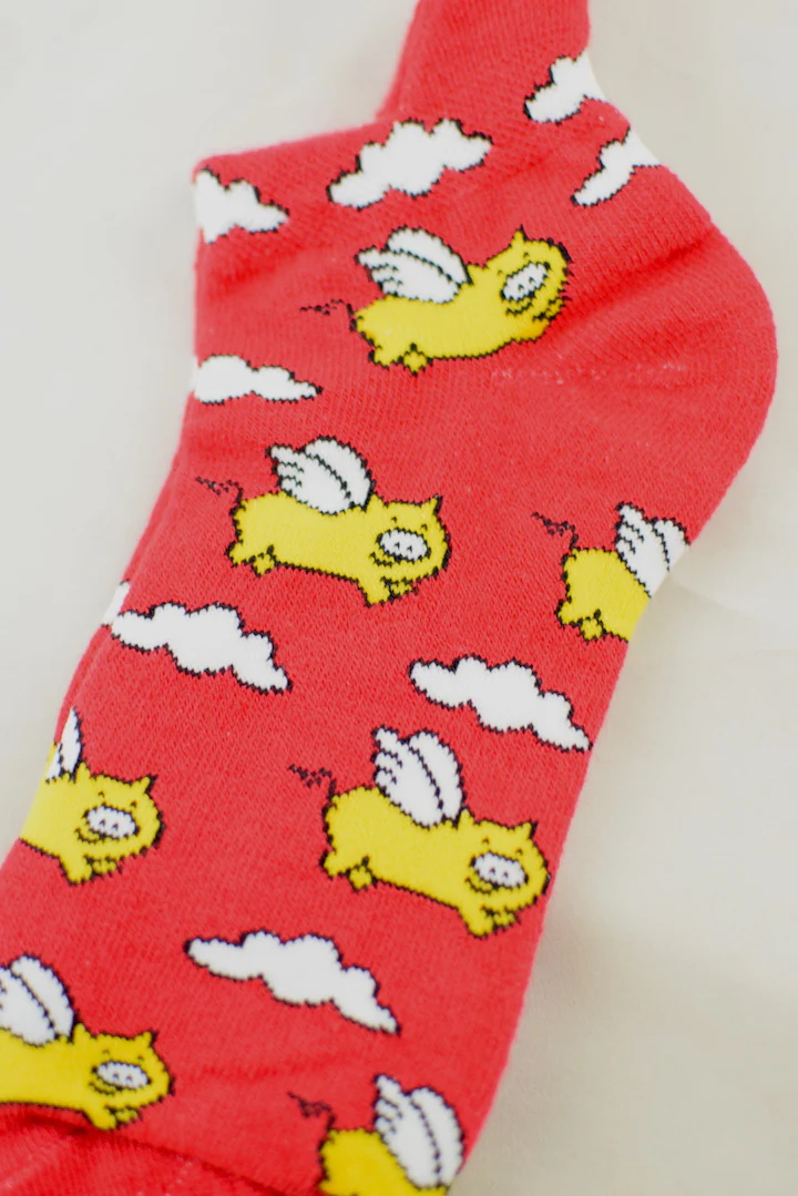 NEW Flying Pig Anklet Socks - Image 5
