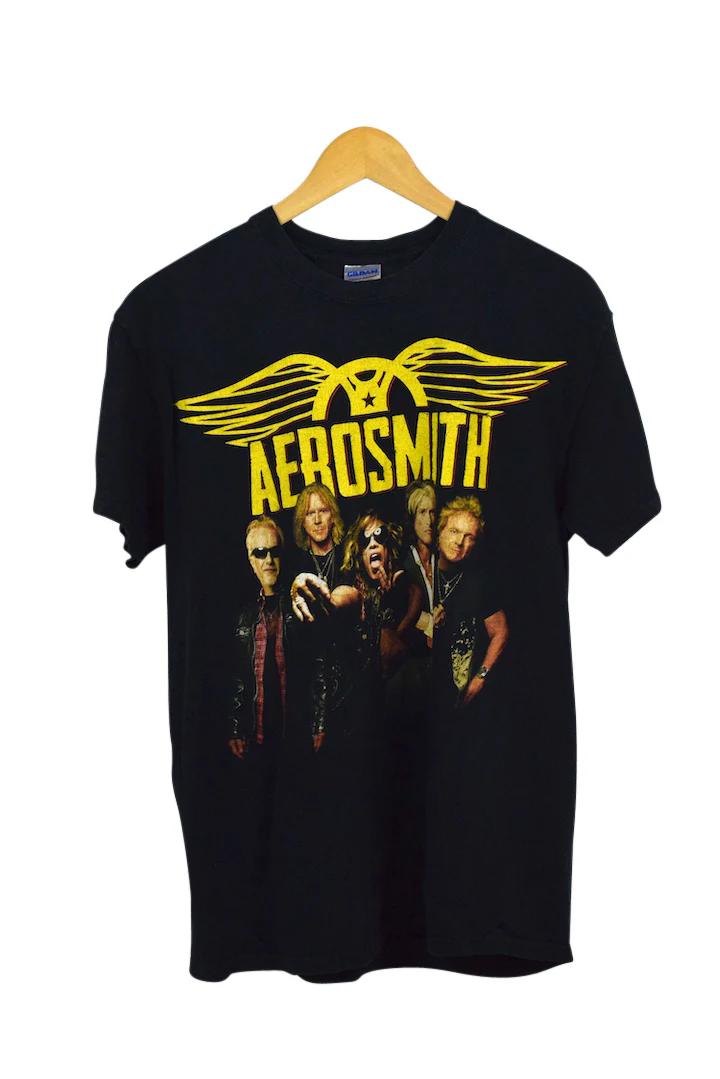 2012 Aerosmith The Global Warming Tour! T-shirt