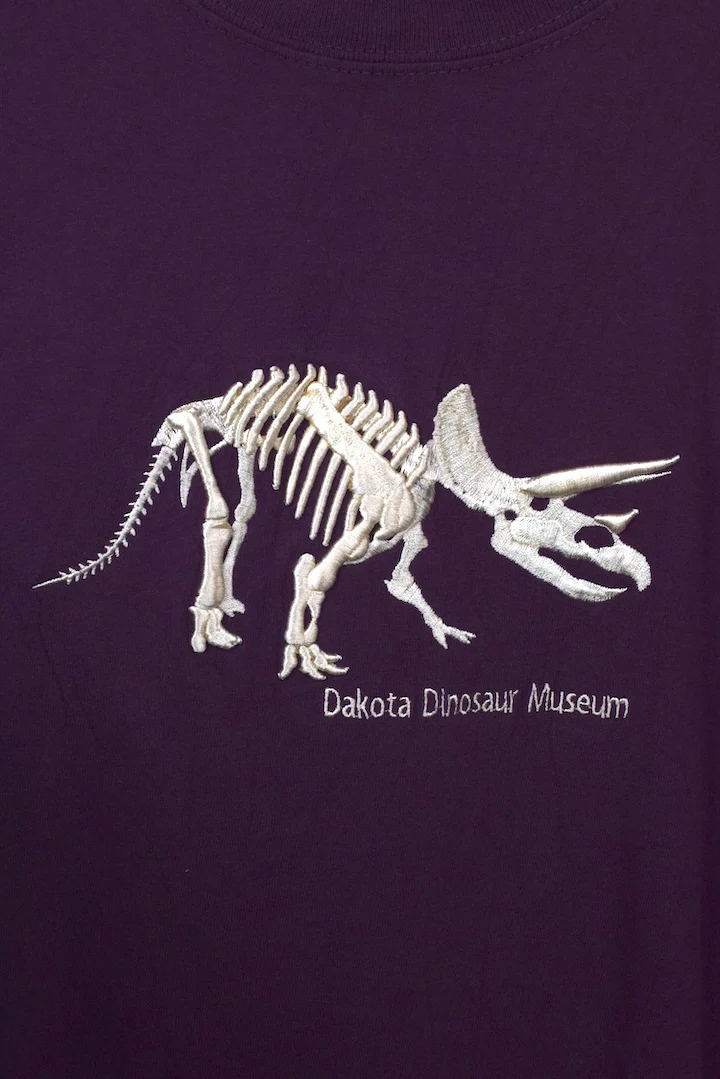 Dinosaur T-shirt - Image 2