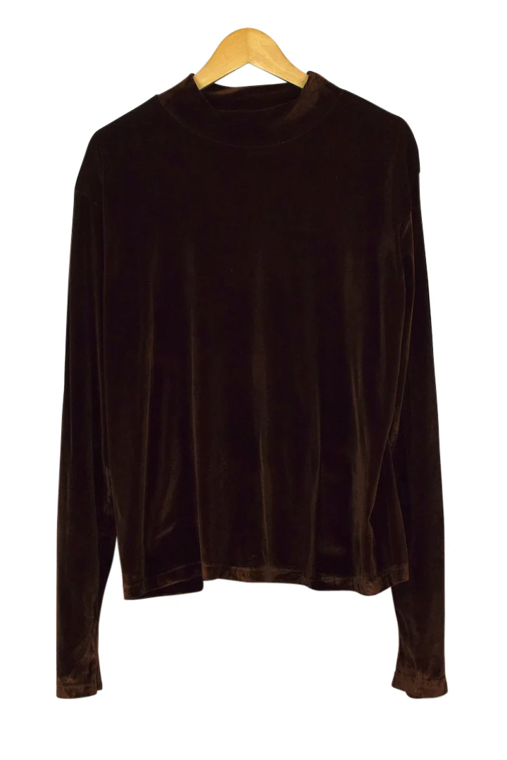 Brown Velvet Top